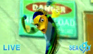 Shark Tale track