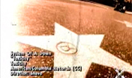 System Of A Down - Toxicity